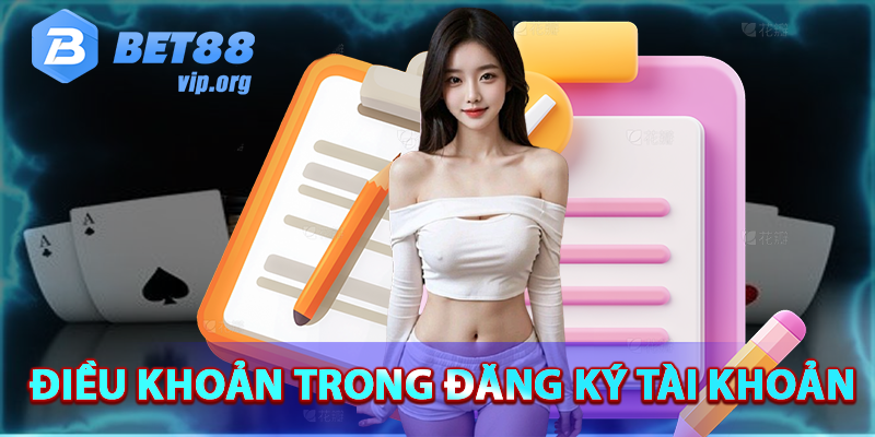 Điều khoản sử dụng trong thiết lập tài khoản